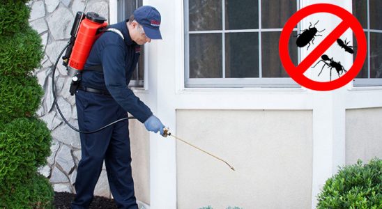 Polatlı Gümüşkurt İlaçlama böcek ilaçlama ve haşere kontrolü — ilaclama-tr.com